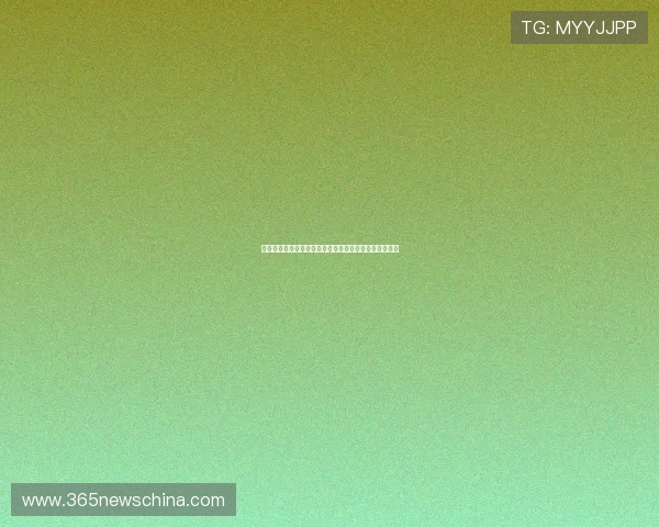 迪马济奥：罗马未能满足狼队对法比奥席尔瓦的转会要价